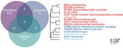 Gene Expression Contributes to the Recent Evolution of Host Resistance in a Model Host Parasite System